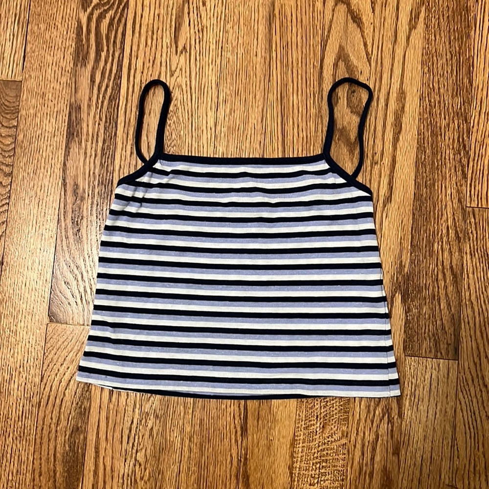 Brandy Melville Crop Top